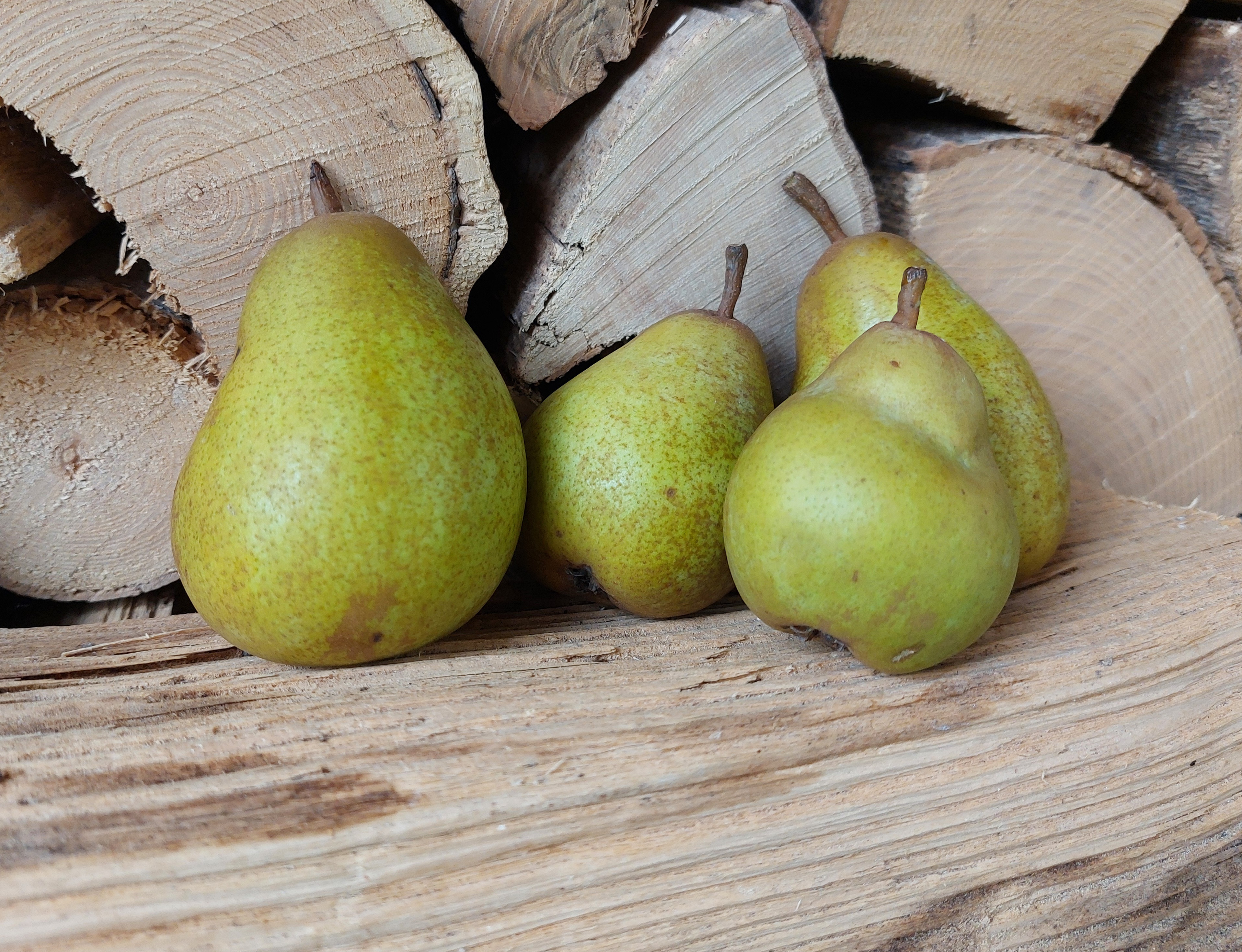 Gellert`s Butterbirne